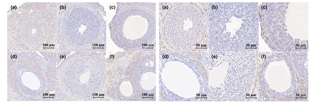 JDB电子(中国区)·官方网站