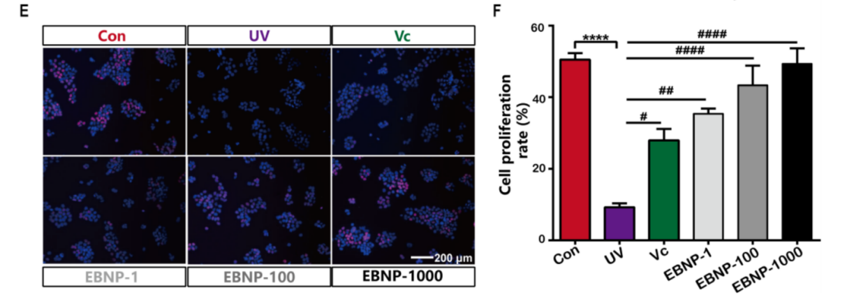 JDB电子(中国区)·官方网站